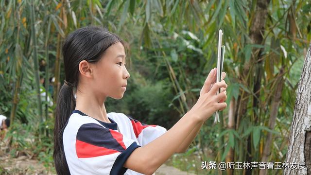 北流容心谷“探索自然之美，传诵诗韵风雅”主题研学活动广受好评