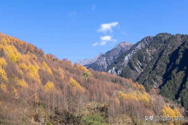 成都不远！这三个地方的红叶，美得很超过！