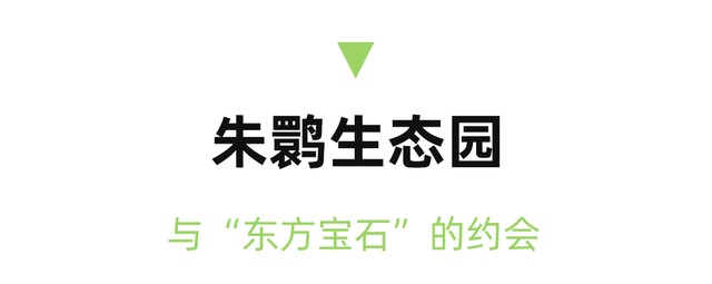 国庆不打挤！高铁2.5H直达冷门小县城，景色惊艳国鸟遍地！物价超低，2元吃鲜辣美食！