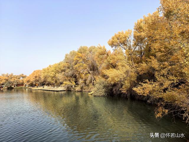 2025环南疆沙漠铁路背包自由行日记(4)——游览泽普金湖杨景区