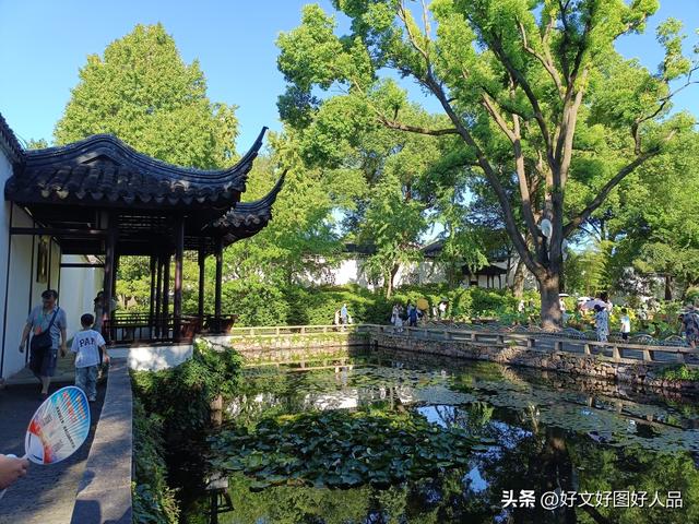 一个马鞍山人游苏州之五——拙政园（1937年竞然遭到日本轰炸）