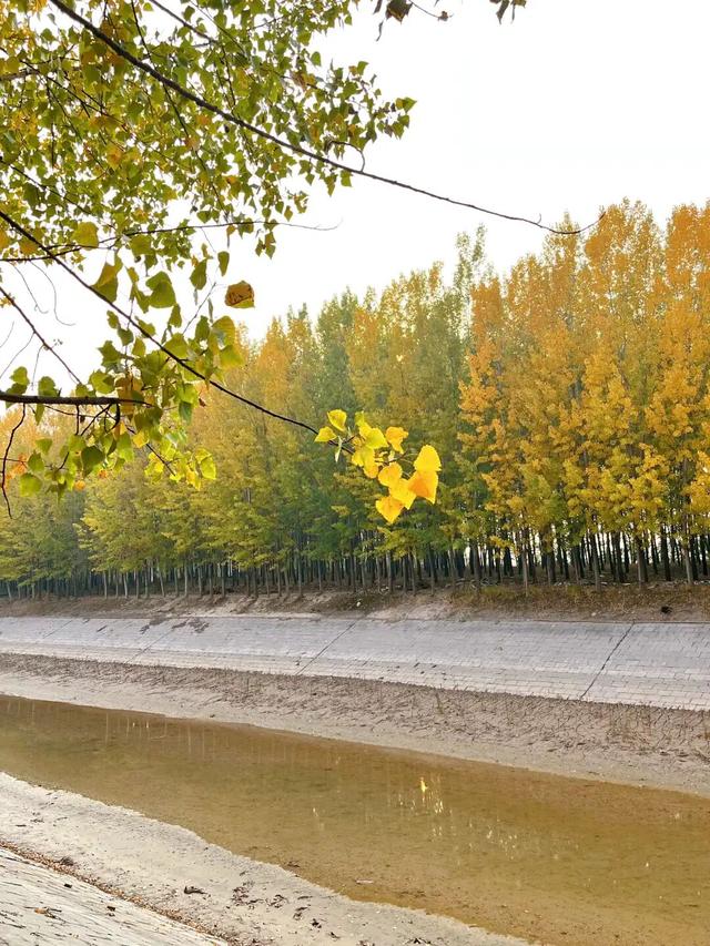 去公园，寻找城市的“书签”