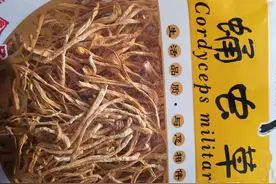 第一次买虫草花，不知道如何做出美味来图片