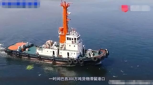 巴西大豆坐地起价？对华报价疯涨，中国买家集体停购：等两个时机