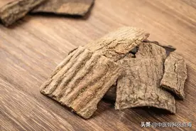 针对腰突、腰腿痛：一味奇妙中药，既能补肝肾强筋骨，又活血通经图片