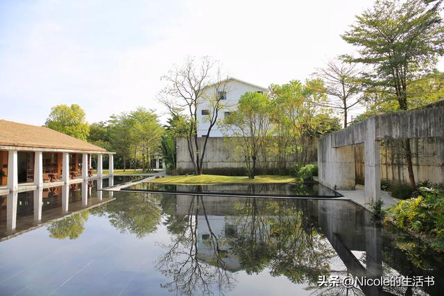 稻浪浸温汤，古村藏清欢