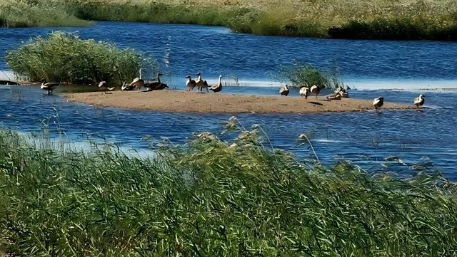 辽宁营口竟然藏着这么多宝藏景点？这份游玩攻略太惊艳了！