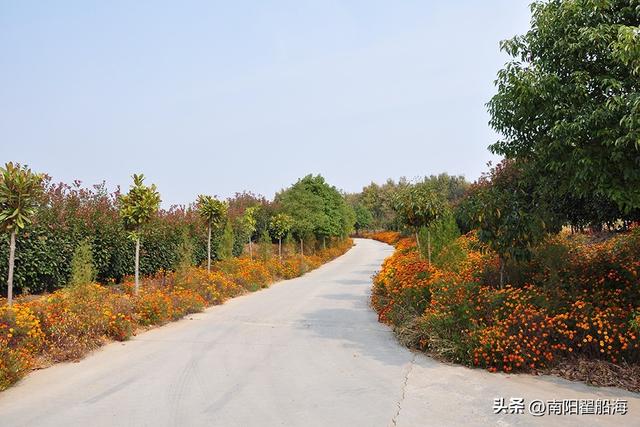 南阳九架孤山(八）——羊山