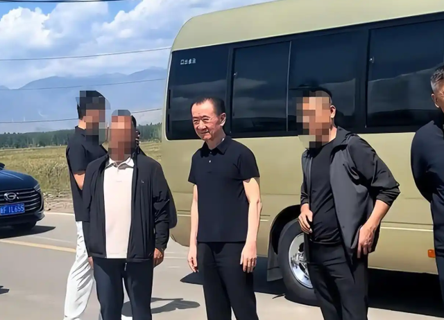 钱再多有什么用？71岁王健林瘦成皮包骨，王思聪本性难改沉迷女色