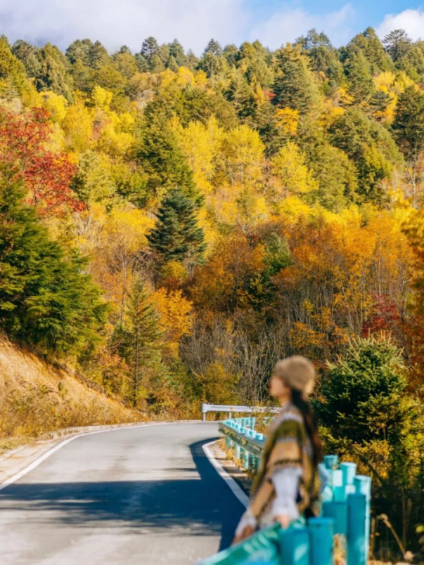 “秋假”开耍！带着小宝来雅安准没错！