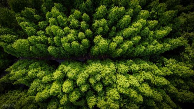 退休八年穷游真相：这4条铁律让我少花10万，却玩出人生高光时刻
