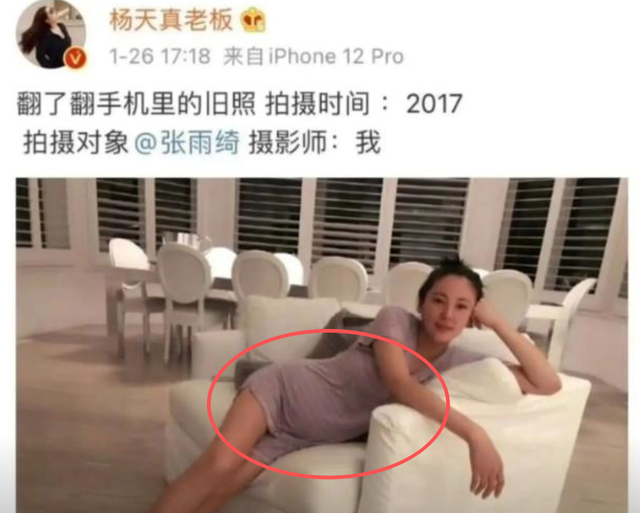 代孕只是“冰山一角”！张雨绮更多猛料被扒出，放纵的代价太大