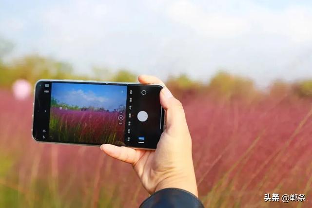 峰峰秋日“宠粉”已上线
