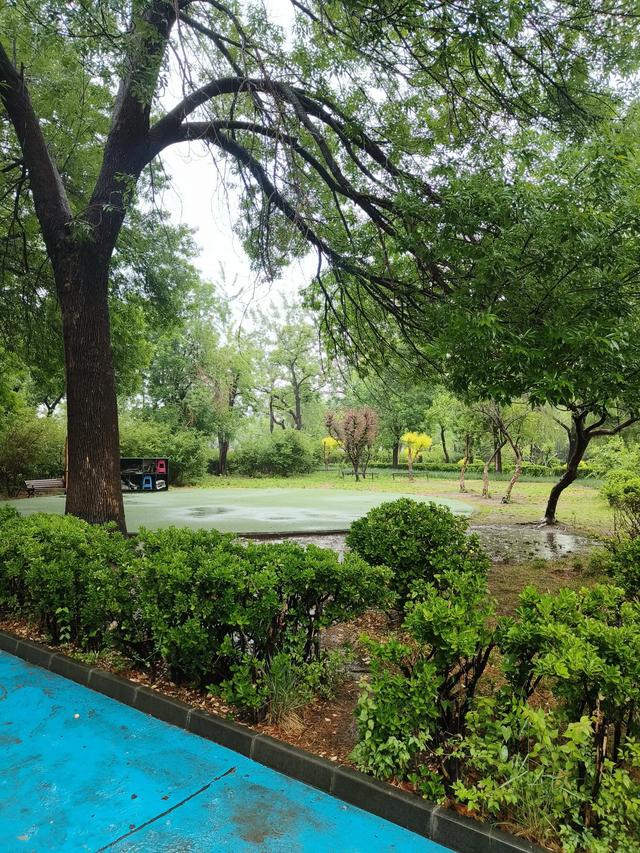 天津雨中的《红光公园》