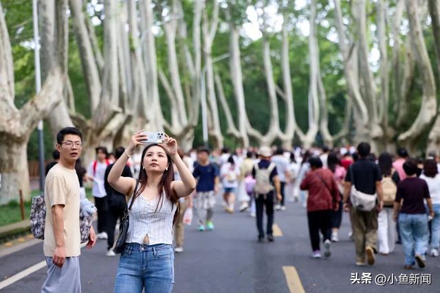 报！这是今天的钟山风景区