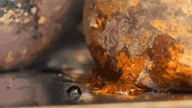 山东人古法过冬大赏