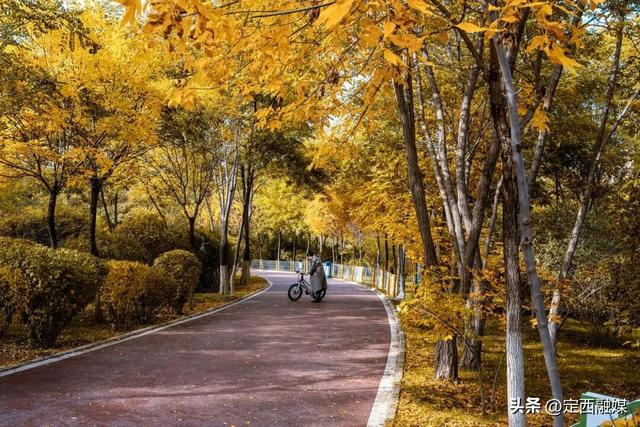 图说定西 | 安定区的限定秋景，又双叒被美到了！