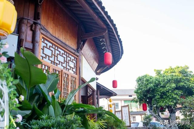 迎着阳光 向着南山 与鸿150S奔跑在城市和山野之间