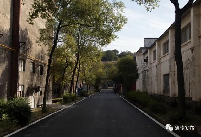 40年，从湘东小城到网红IP——醴陵文旅融合的破圈之路