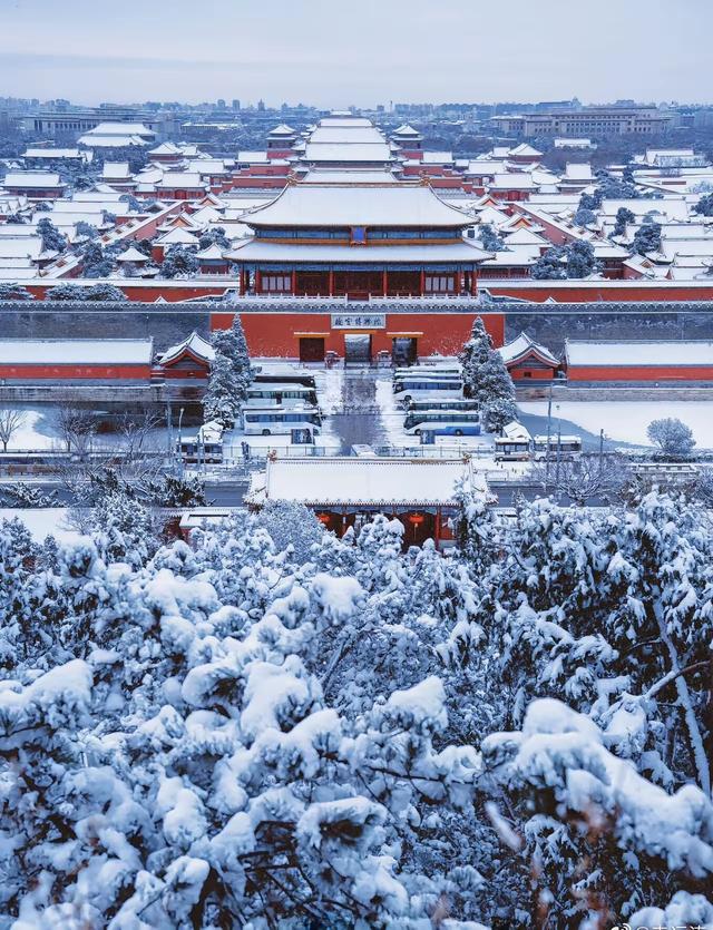 紫金城披上银装，红墙金瓦映衬着漫天飞舞的雪花，这画面太美了。