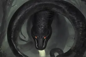 山海经里的异兽真的存在吗？图片