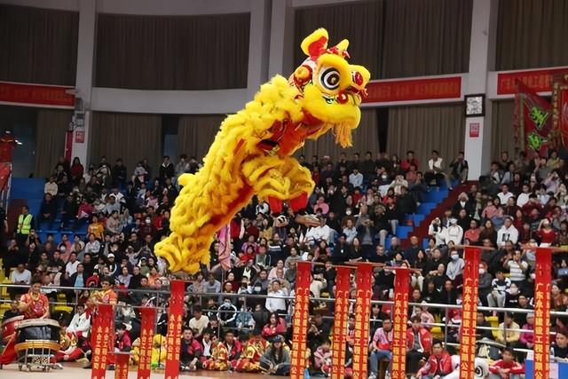 攻狮子、大巡游……元宵节，来德庆狂欢一整日！