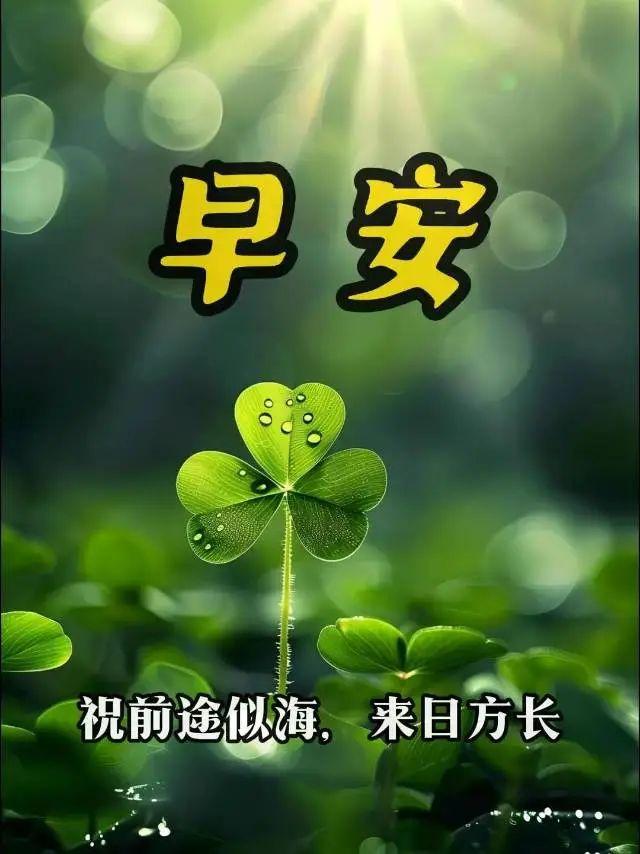 早安正能量励志句子 新的一天 请保持微笑，张开双手迎接美好的一天