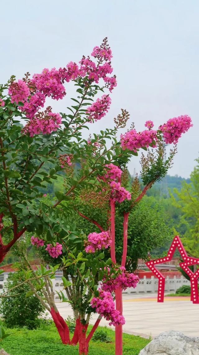 “多巴胺”风吹到了两当!