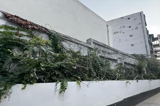 初冬色彩+N！街角美得藏不住→