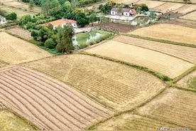 南街村证明集体经济成功，和马云证明创业成功，都是幸存者偏差图片