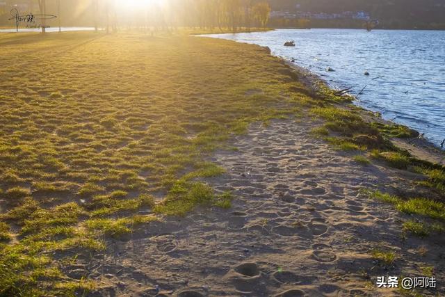 洱海的湿地公园很多,这几座孤岛风景不错,只是唯一的浮桥太晃荡