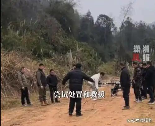 为了这头年猪的“飞天梦	”，全村陪它停电10小时？