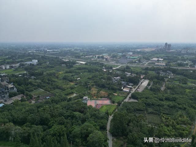 成都徒步（68）·彭州篇⑮佛山古寺&镇国寺宝塔