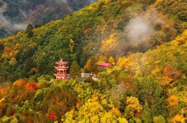 遇见金秋！来汉中，邂逅一场秋日山野浪漫之约！