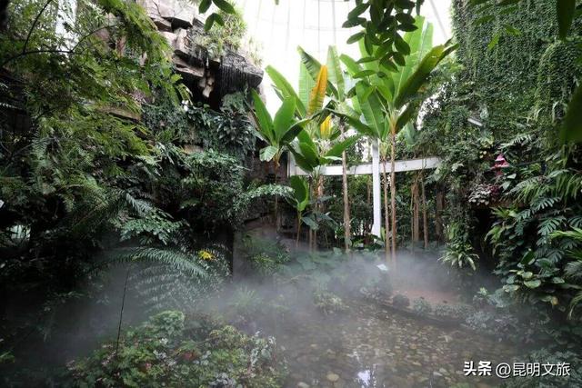 探索自然野趣、探秘植物王国……带孩子来昆明避暑，走这条线路必游！