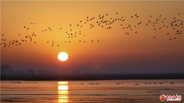 何以中国·壁画里的中国｜当“九色鹿”跃入张掖 西部生态名城再绘“绿水青山”新卷
