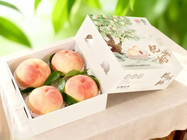 恭喜！肥城又获一国家级金奖!