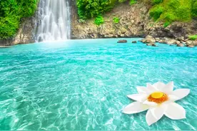 中老年网名昵称，微信名字昵称，简单气质有内涵，寓意好吉祥话图片