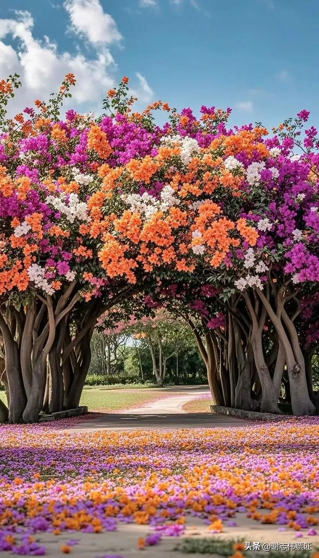 10月第1期（4天）点评