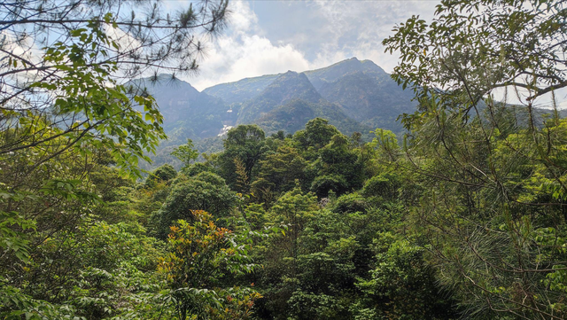 32岁男子徒步齐云山，没路硬要走出一条路，至今仍在山里失联