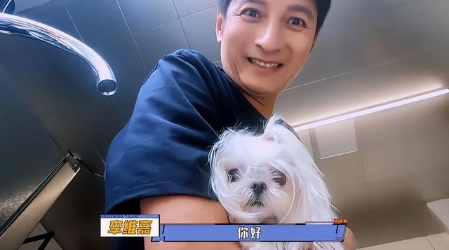 钱再多有什么用？从主持人到“精神病”，48岁李维嘉现状令人唏嘘