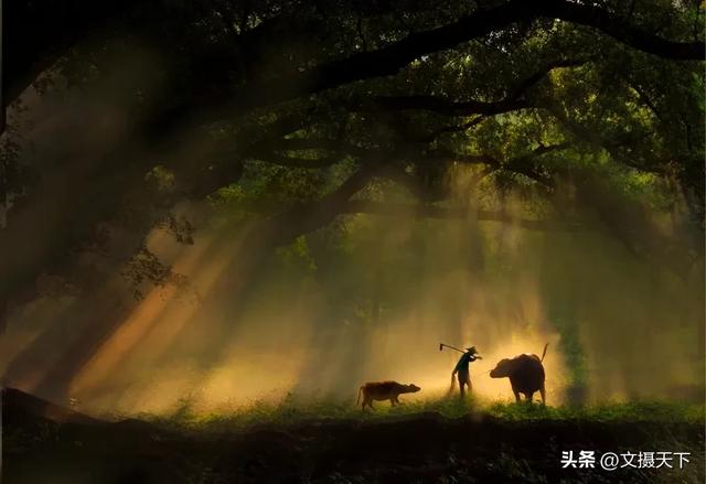 霞浦美景入画来