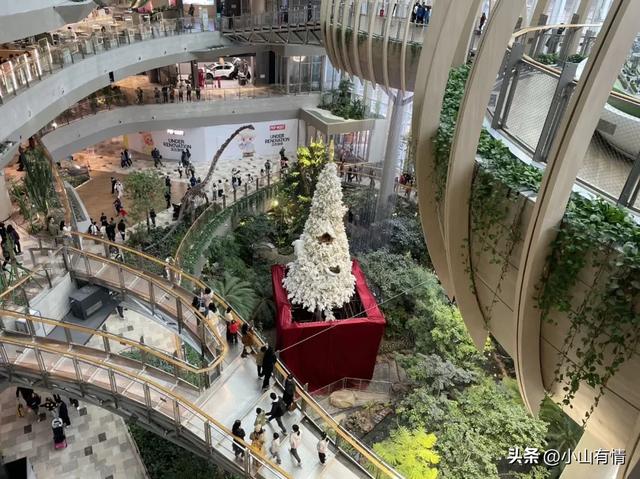 重庆的光环购物中心在搭建圣诞树,我估计再也不会去跨年了