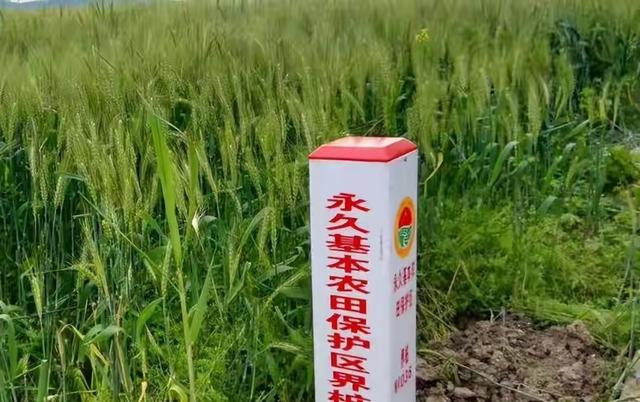 中央铁令！10月1日起农田禁令落地，农民必看！