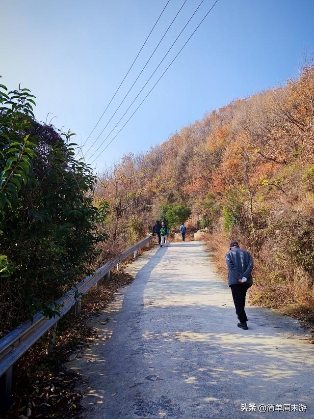 18）秋日巩义行：八公里赴一场银杏之约，大锅菜暖透半日闲