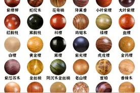 什么木的手串比较好？能把这些手串盘玩包浆的，都是大神！图片