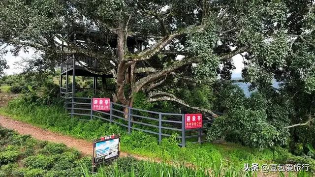 茶马古道、原始秘境与佤乡烟火——临沧深度漫游攻略