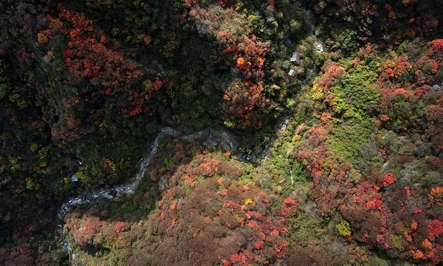 “中国北方第一峡”金龙峡风景区举办红叶节健康徒步行活动