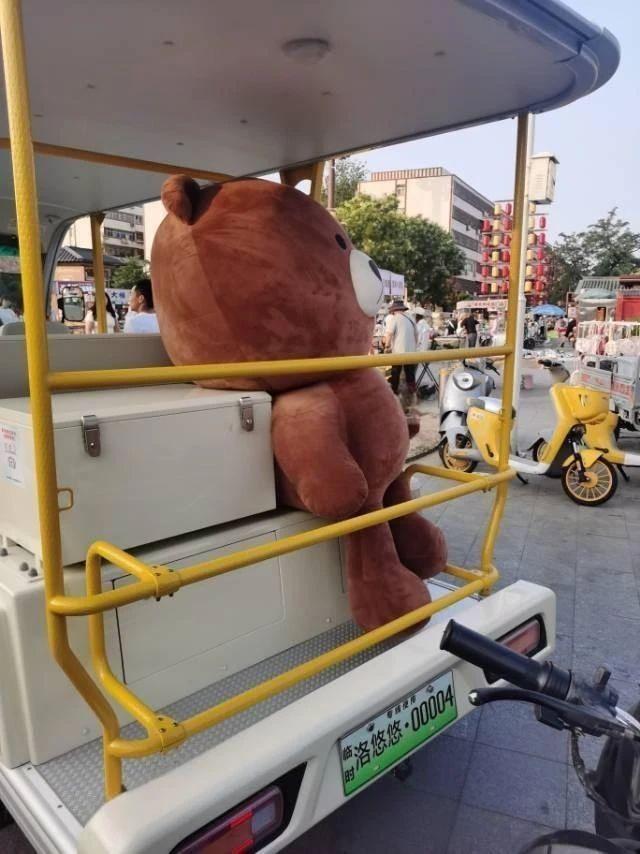 洛阳旅游，终于有了“招手即停”的旅游观光车