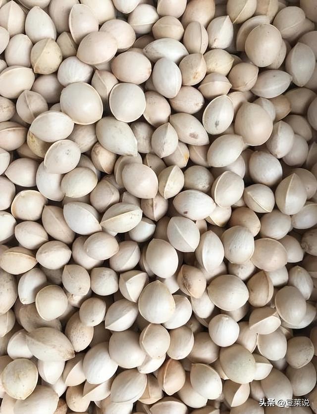 日本人靠它发财，美国人用它打仗，中国人却把它当毒药扔进垃圾桶